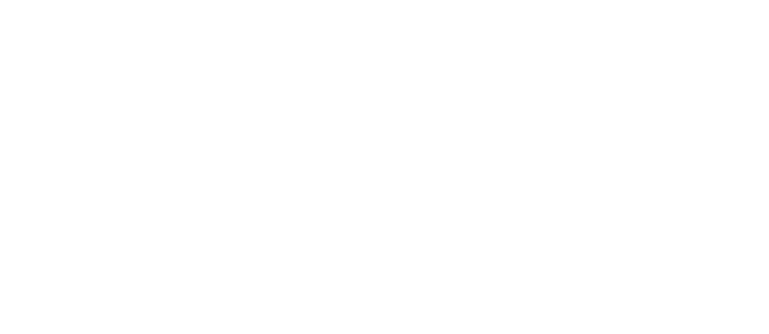 Dybdal Fenger Consult