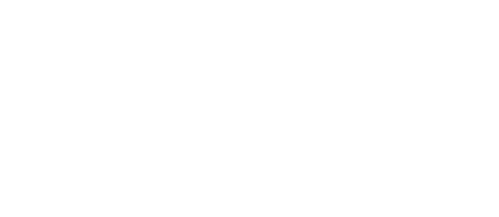 Dybdal Fenger Consult